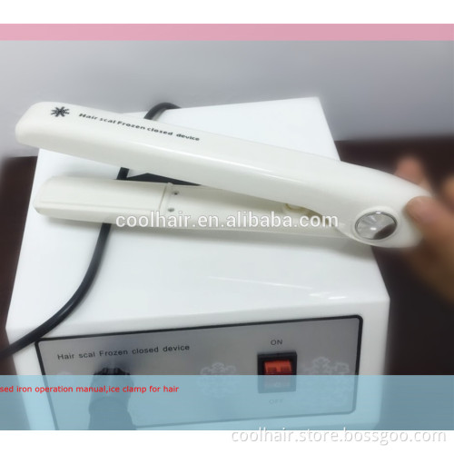 Newest moisturizer frozen haircare hair steamer for sale